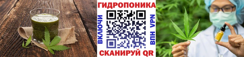 ОМГ ОМГ зеркало Карабулак Canna-Cookies марихуана