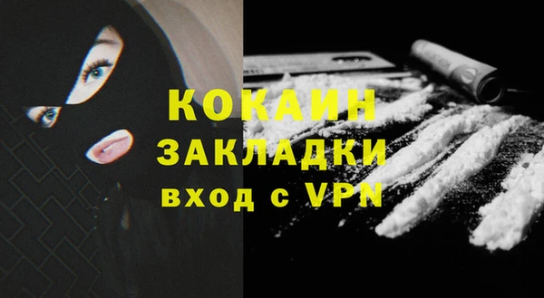 индика Иннополис